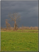 foto Paesaggi Autunnali tra le Colline 